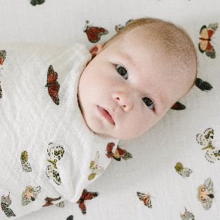 Butterfly Migration Crib Sheet