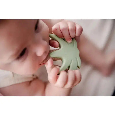 Palm Tree Teether