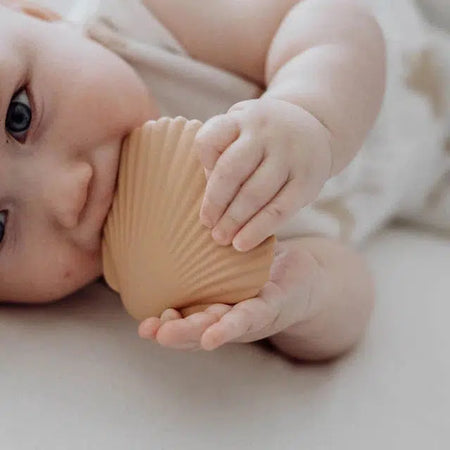 Seashell Teether- Clay